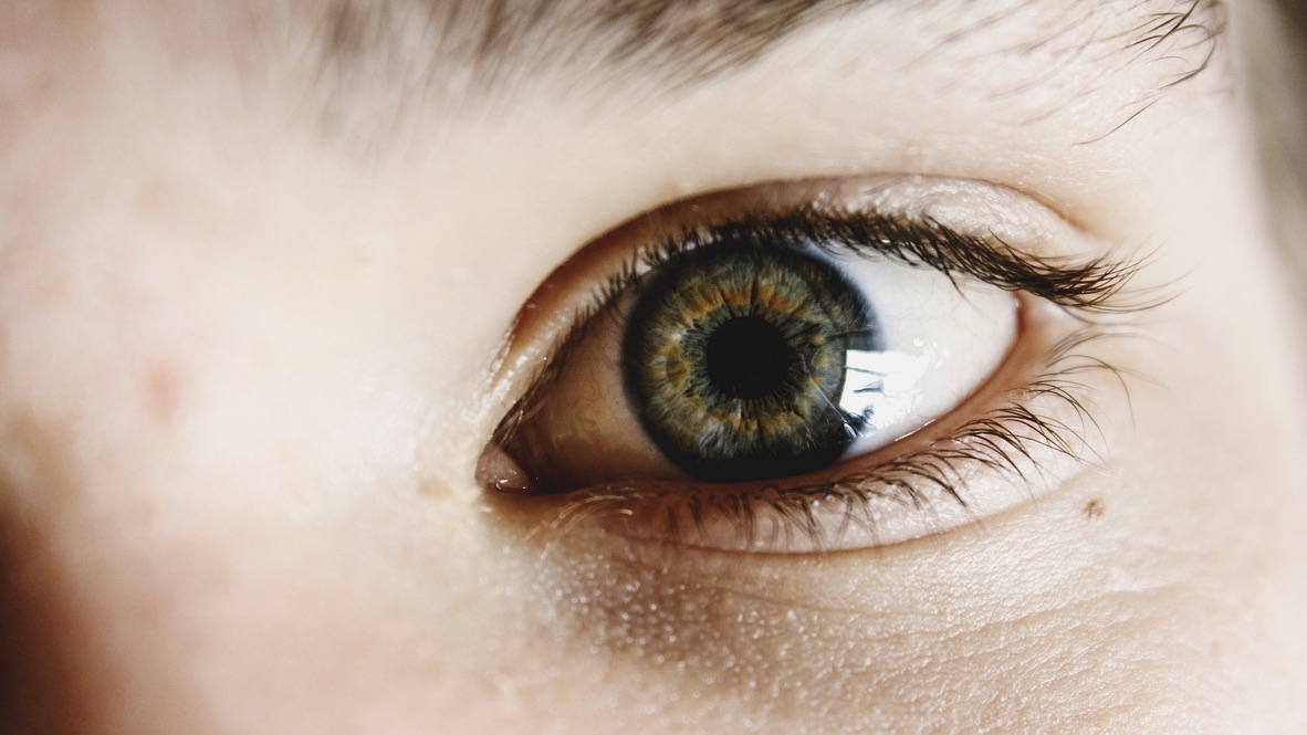 【感覚器】視覚の機能と眼球運動を知ろう！